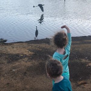 Meet your Posher, Bassem